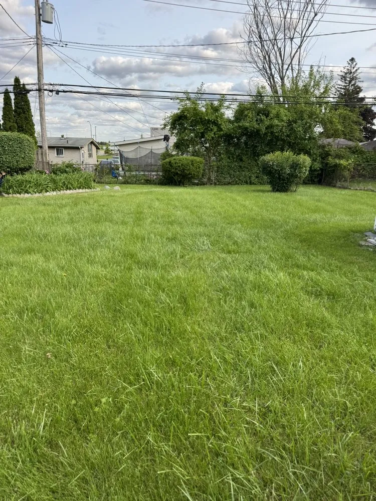 Local lawn mowing service for year-round maintenance in Pontiac, MI by Green Kingdom