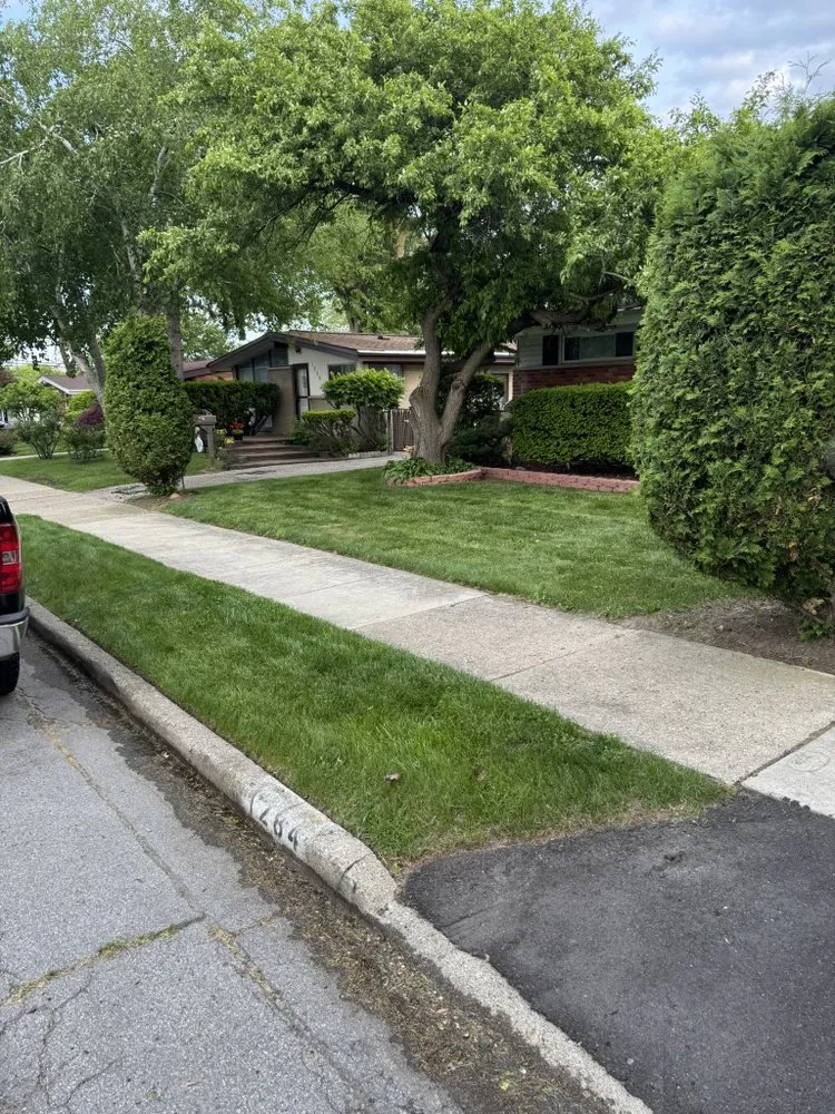 Custom lawn care service in Pontiac, MI - Green Kingdom
