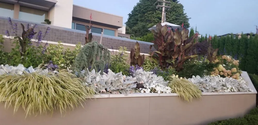Affordable landscaping services in Kirkland, WA by Green Knight Landscape