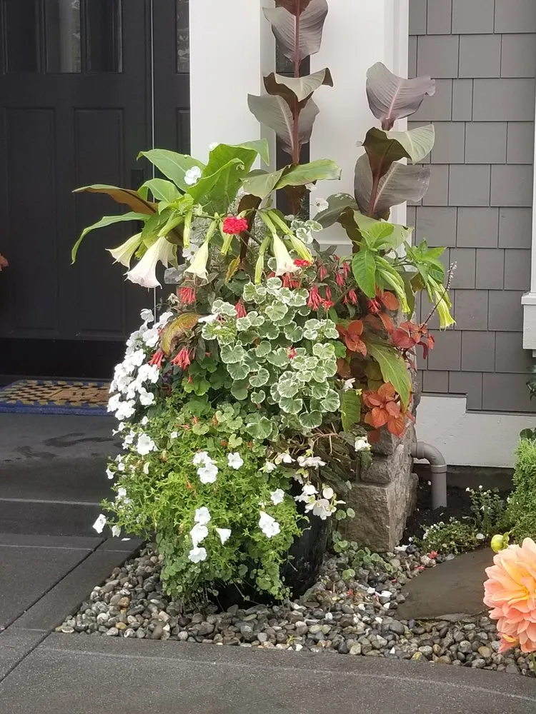 Top-rated lawn care service for beautiful yards across Kirkland, WA - Green Knight Landscape