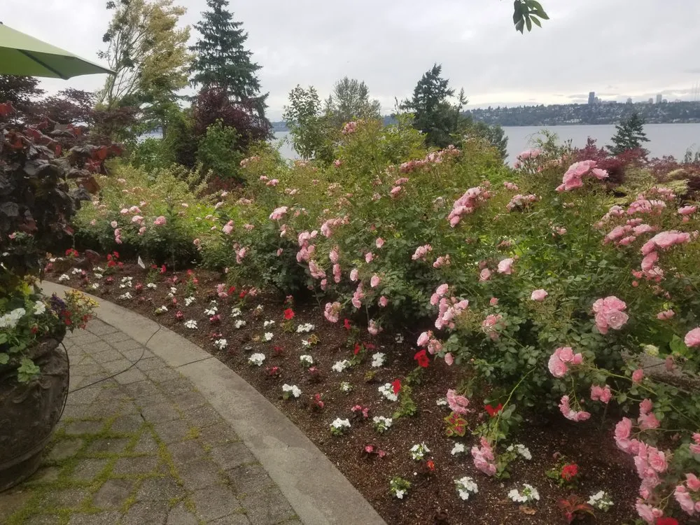 Professional residential landscaping in Kirkland, WA - Green Knight Landscape
