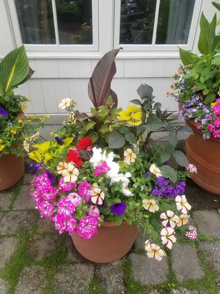 Reliable landscape installation in Kirkland, WA - Green Knight Landscape