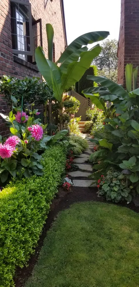 Expert yard maintenance for residential properties across Kirkland, WA - Green Knight Landscape