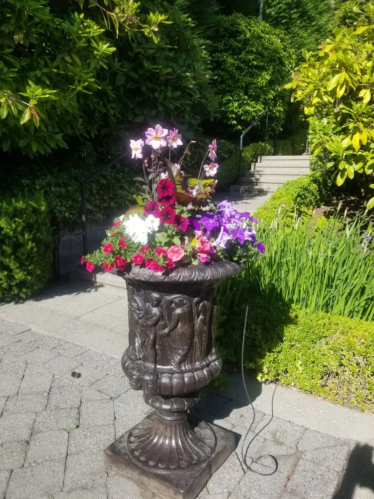 Affordable lawn mowing service for residential properties in Kirkland, WA by Green Knight Landscape