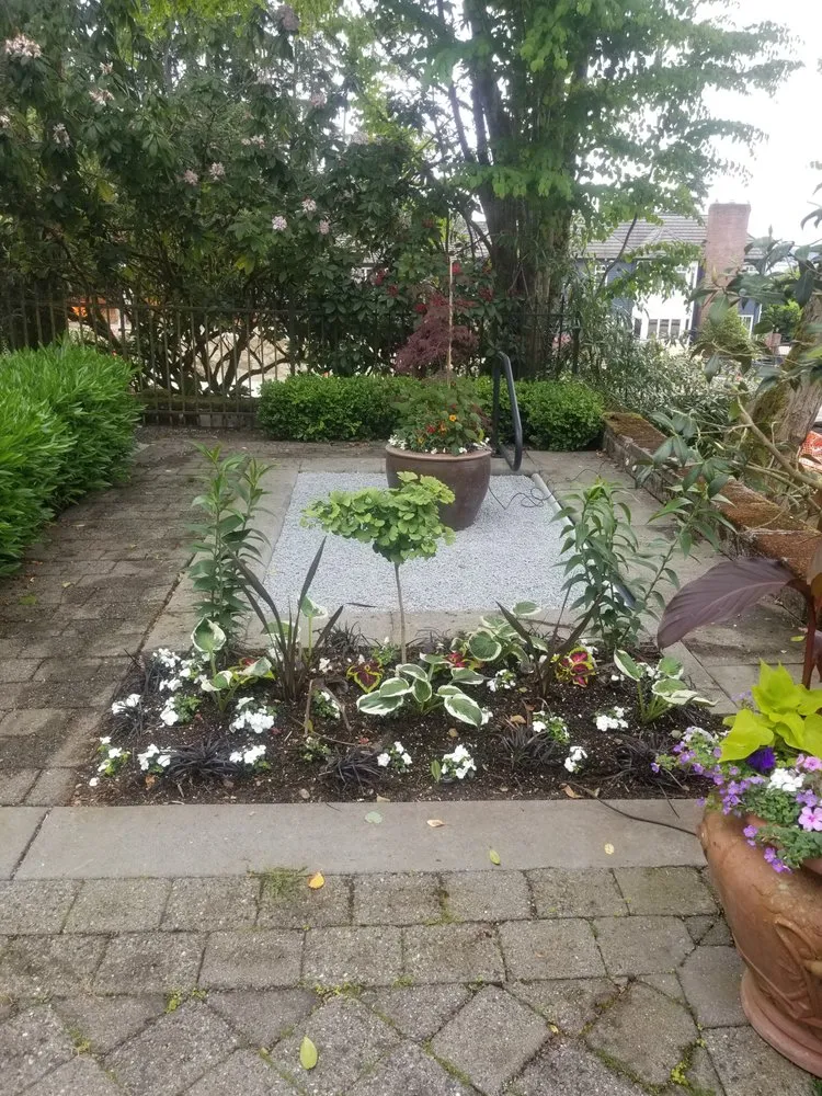 Local yard maintenance in Kirkland, WA - Green Knight Landscape