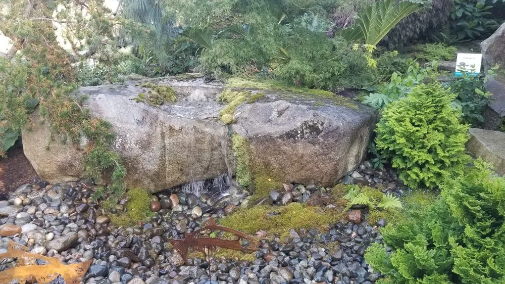 Custom yard maintenance in Kirkland, WA - Green Knight Landscape
