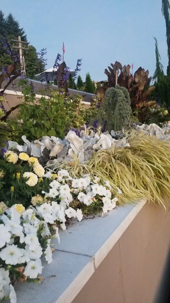 Reliable lawn mowing service for residential properties across Kirkland, WA - Green Knight Landscape