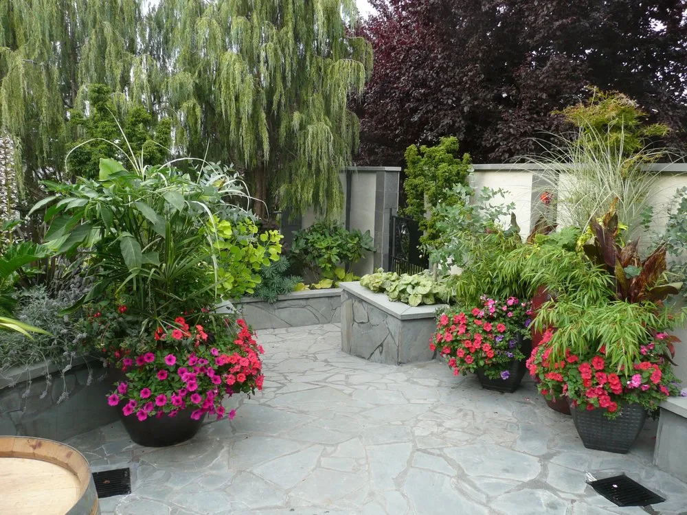 Reliable yard cleanup service in Kirkland, WA by Green Knight Landscape