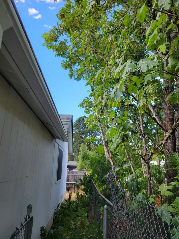 Affordable lawn care service in Oakridge, OR - Green Knight Landscaping