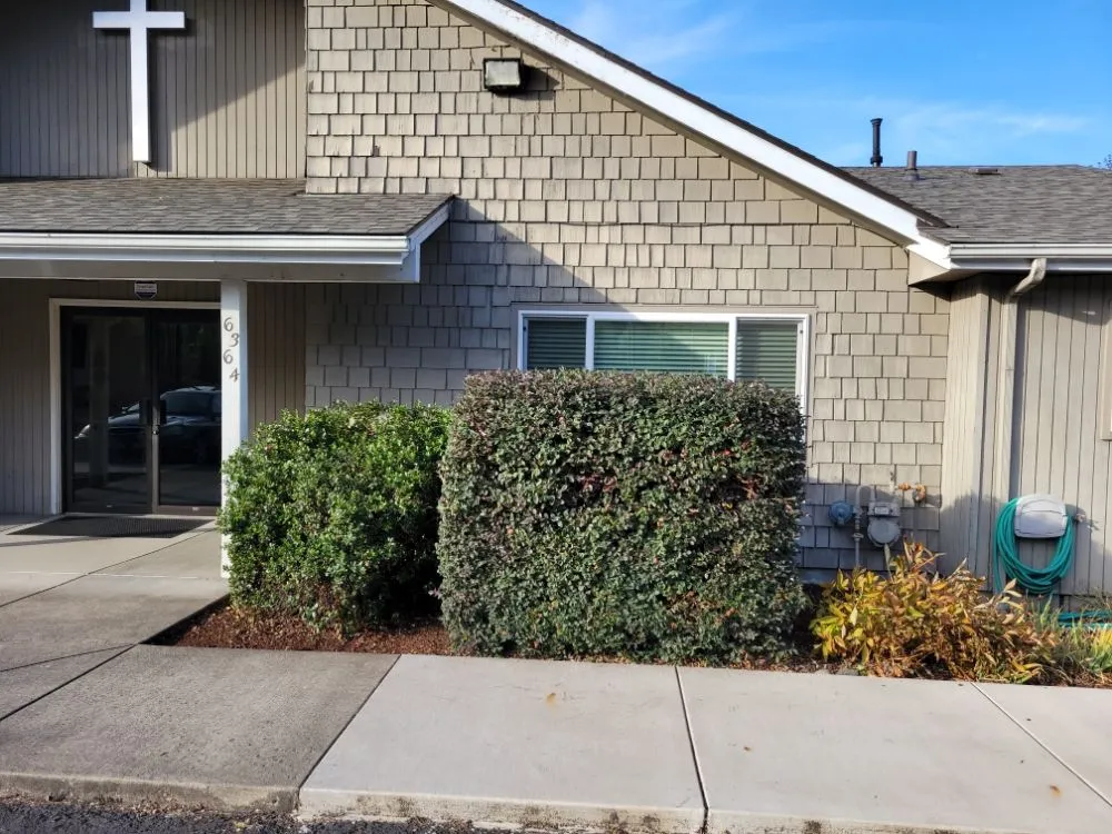 Trusted yard cleanup service for residential properties across Oakridge, OR - Green Knight Landscaping