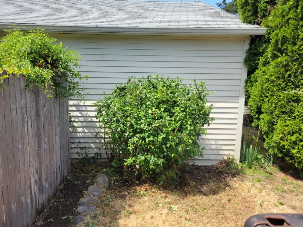 Local lawn care service experts serving Oakridge, OR - Green Knight Landscaping