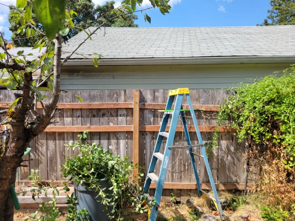 Reliable landscape design for outdoor upgrades across Oakridge, OR - Green Knight Landscaping