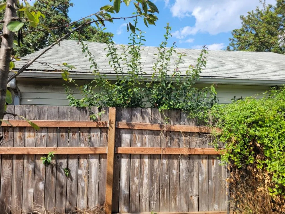 Reliable landscape design for homes in Oakridge, OR by Green Knight Landscaping