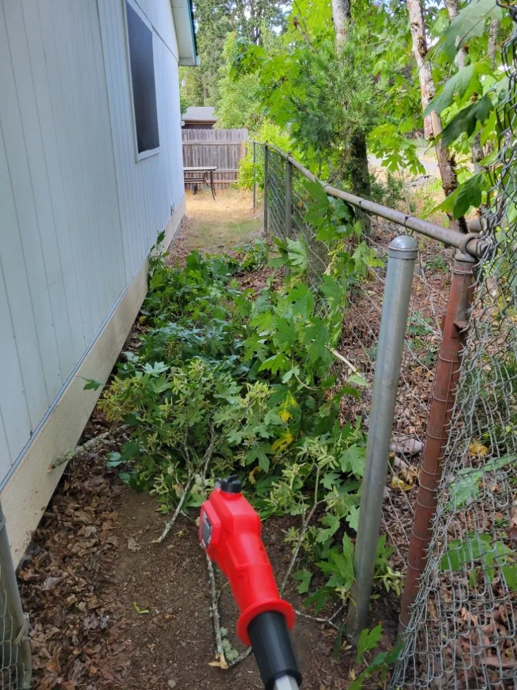 Expert yard cleanup service experts serving Oakridge, OR - Green Knight Landscaping