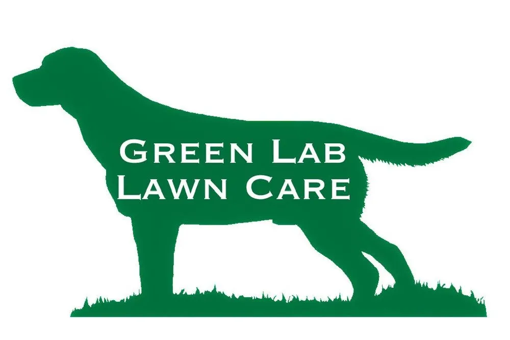 Local yard cleanup service in Lavon, TX by Green Lab Lawn Care