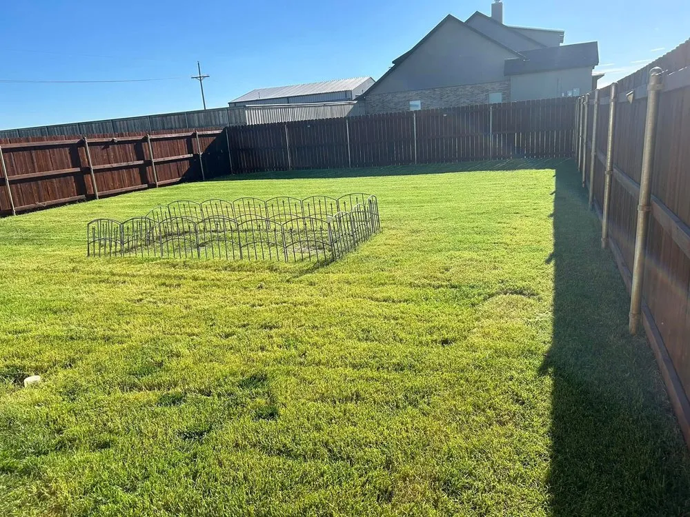 Custom lawn care service experts serving Canyon, TX - Green Lake Mowing