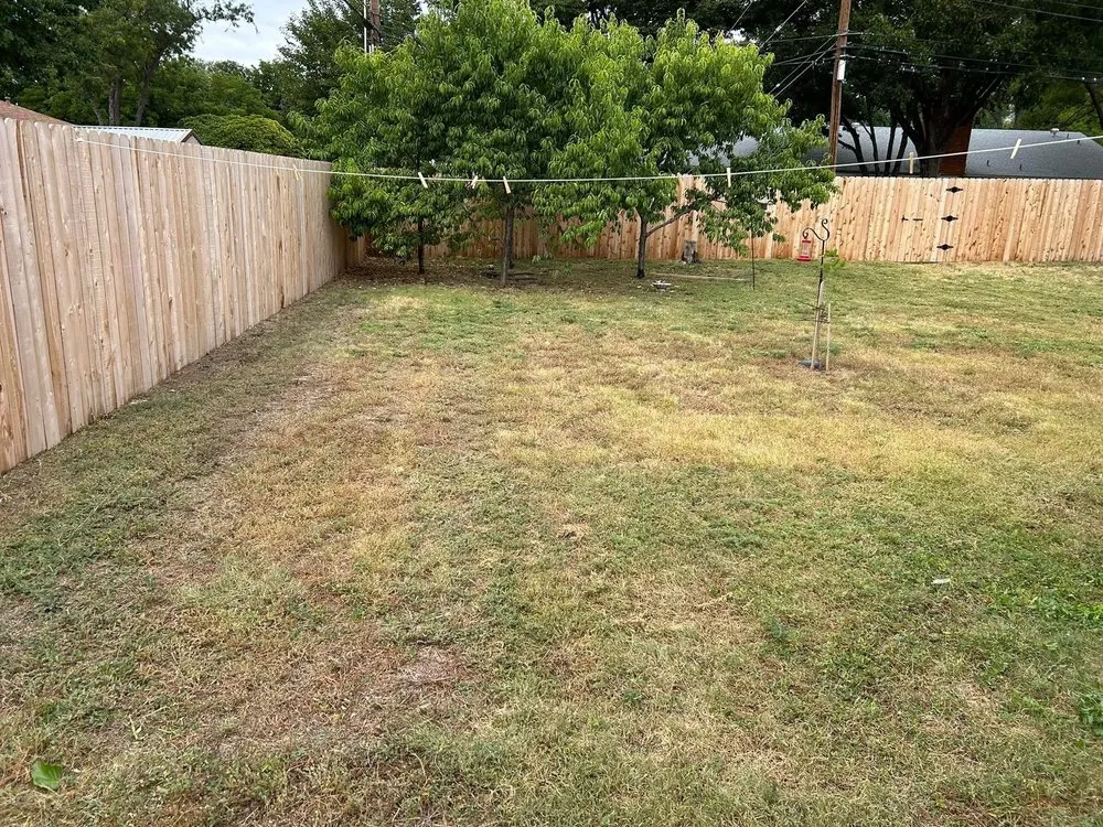 Trusted landscape design experts serving Canyon, TX - Green Lake Mowing