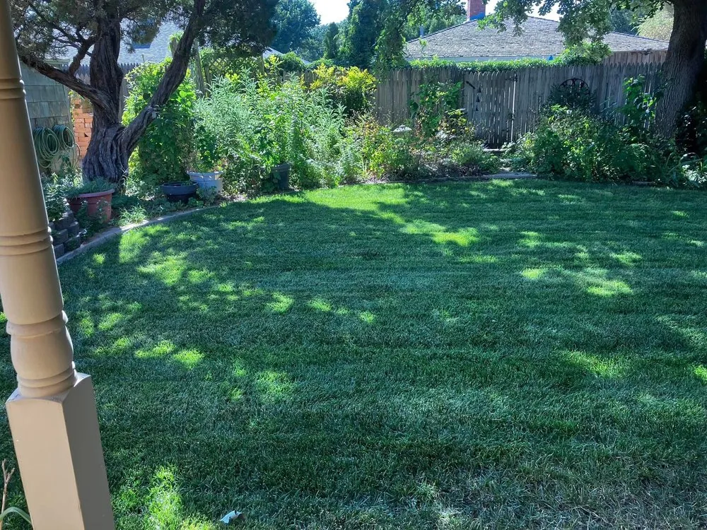 Affordable lawn care service in Canyon, TX by Green Lake Mowing