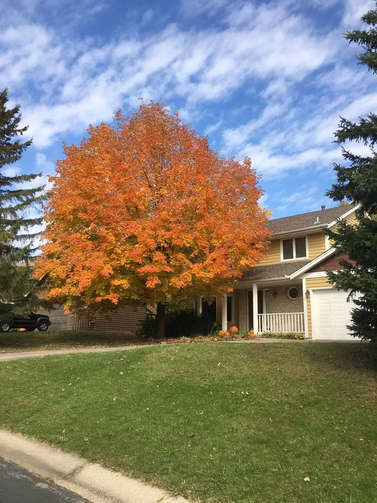 Reliable residential landscaping for year-round maintenance in Shakopee, MN by Green Lakes Landscaping