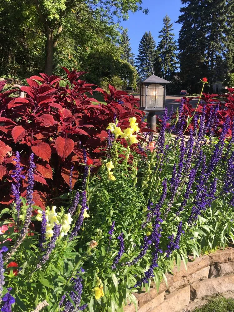 Affordable yard maintenance experts serving Shakopee, MN - Green Lakes Landscaping