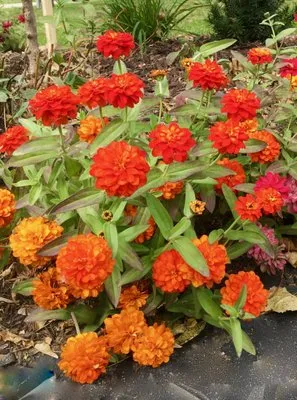 Green Lakes Landscaping