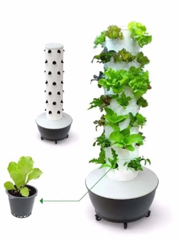 Trusted lawn care service in Southwest Ranches, FL by Green Land Design