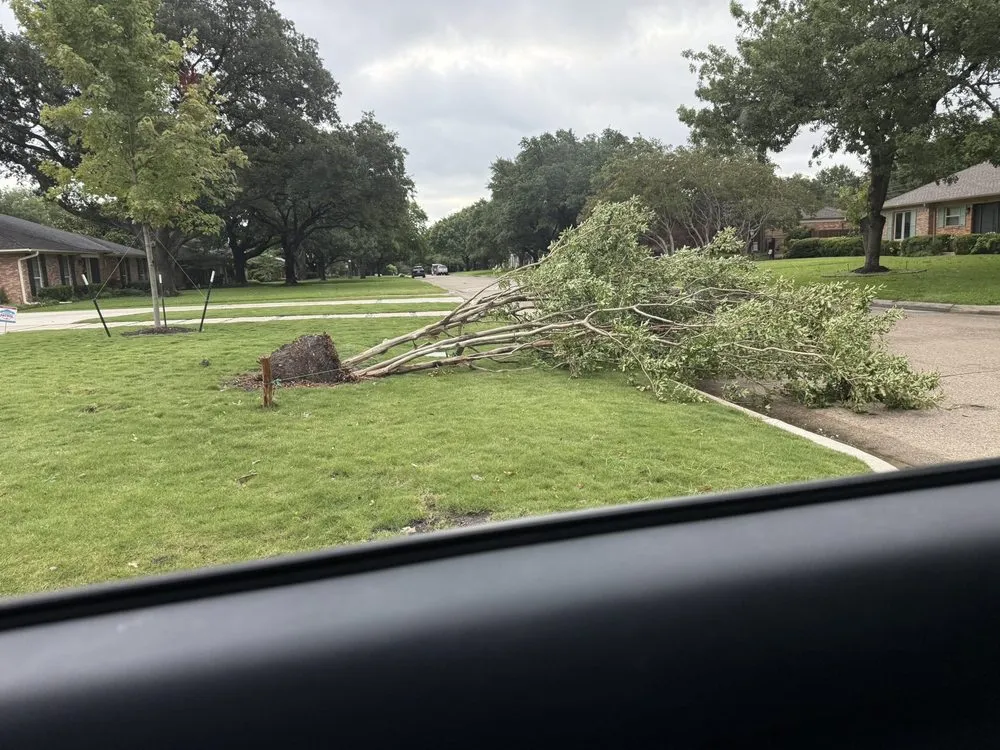 Top-rated yard cleanup service with custom design across Dallas, TX - Green Land Landscaping