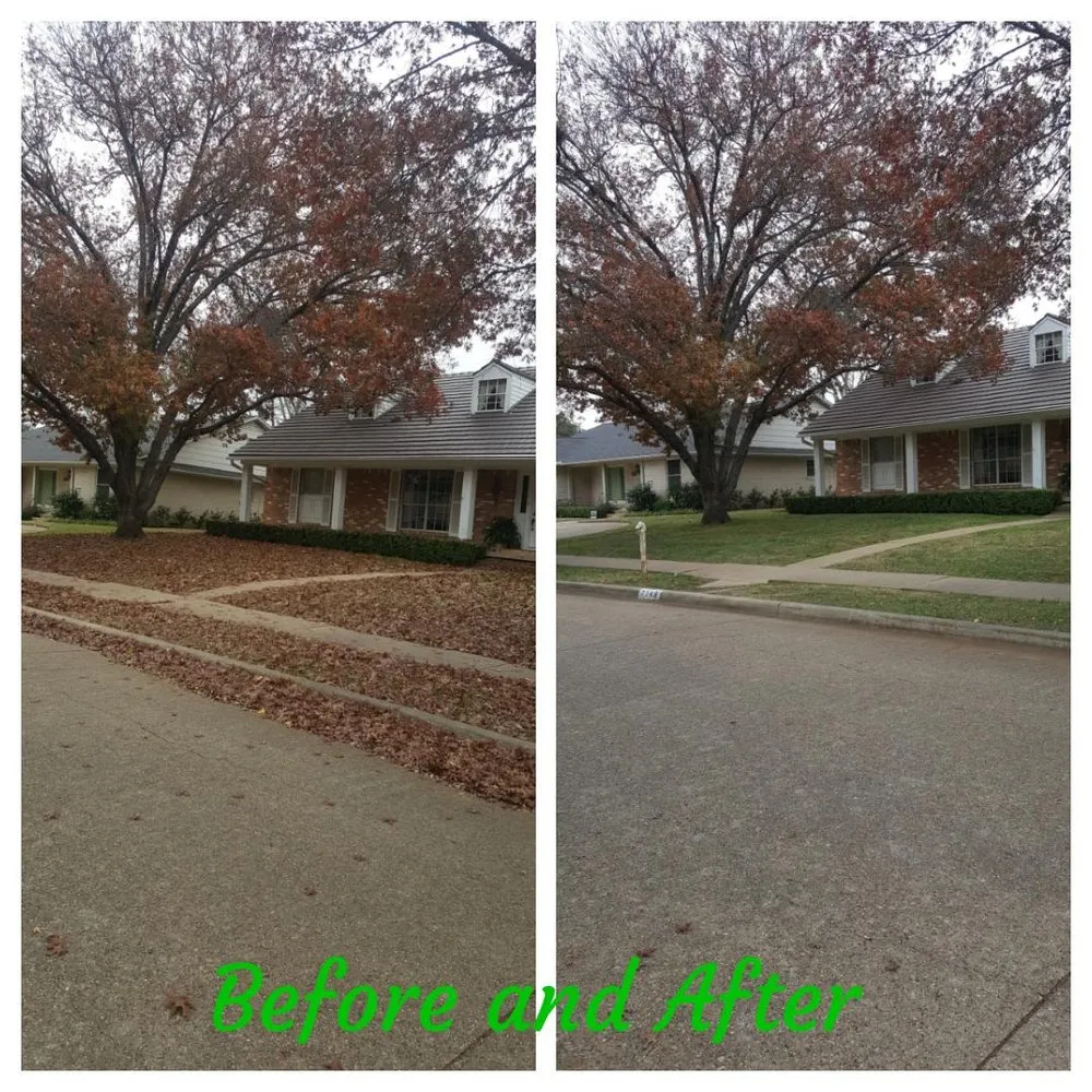 Top-rated landscape installation in Dallas, TX - Green Land Landscaping