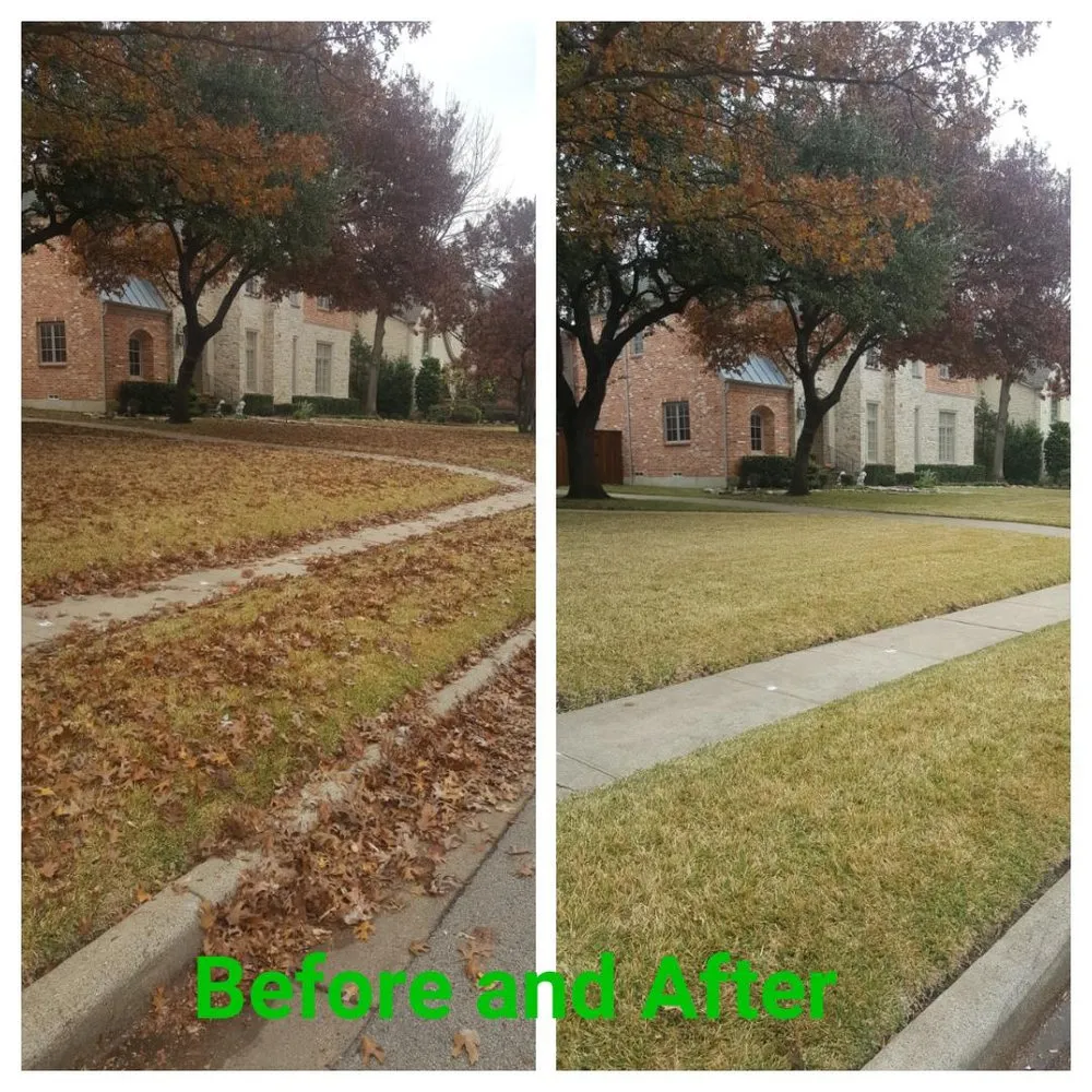 Local lawn care service with custom design across Dallas, TX - Green Land Landscaping