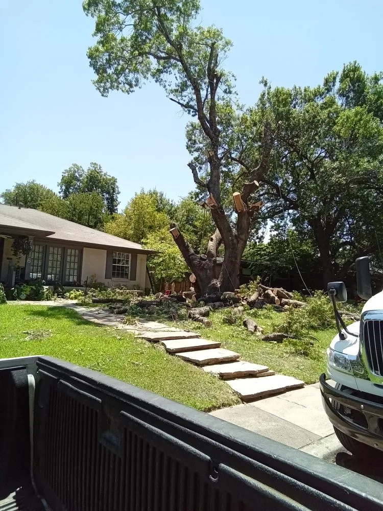 Professional lawn care service for beautiful yards across Dallas, TX - Green Land Landscaping