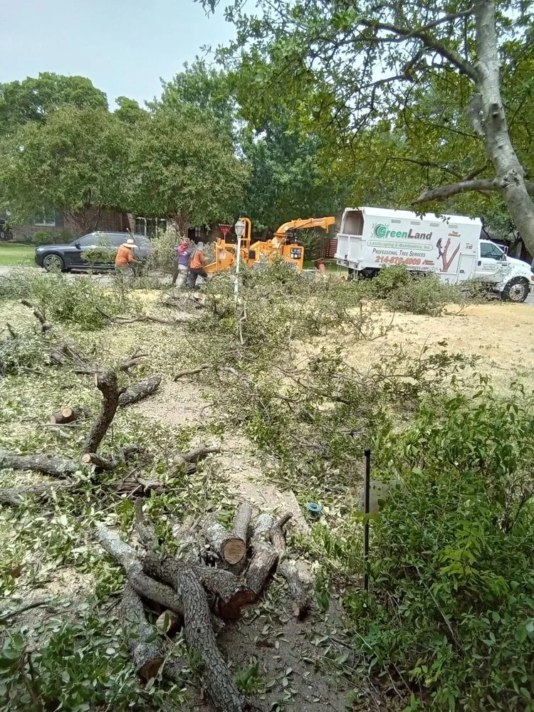 Custom lawn care service with custom design in Dallas, TX by Green Land Landscaping