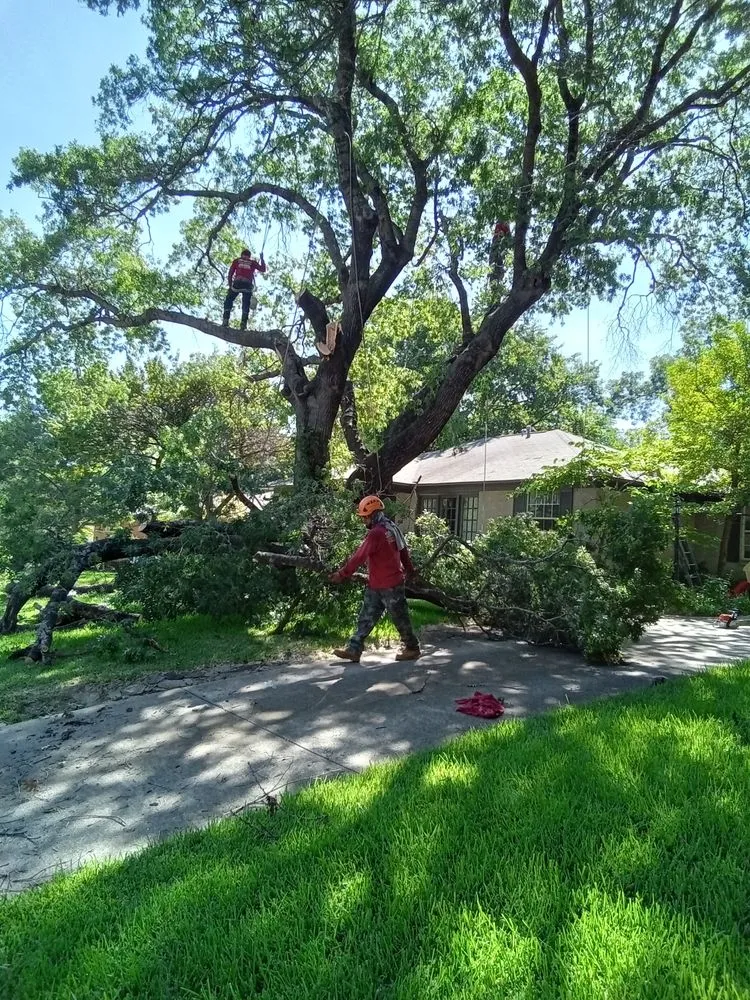 Reliable outdoor landscaping in Dallas, TX - Green Land Landscaping