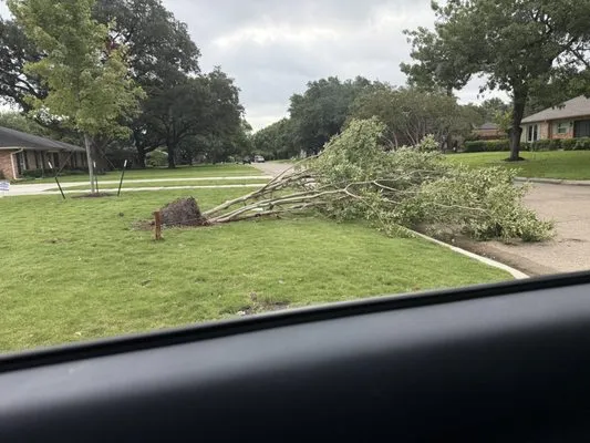 Green Land Landscaping Logo