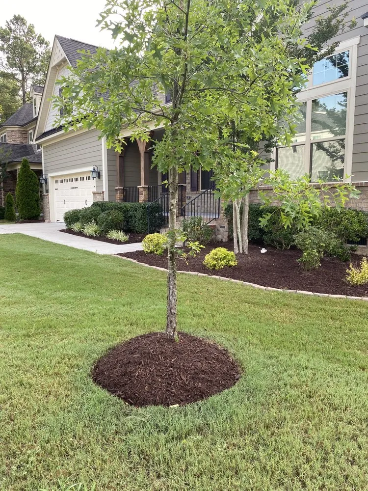 Local landscaping services in Wendell, NC by Green Land Landscaping