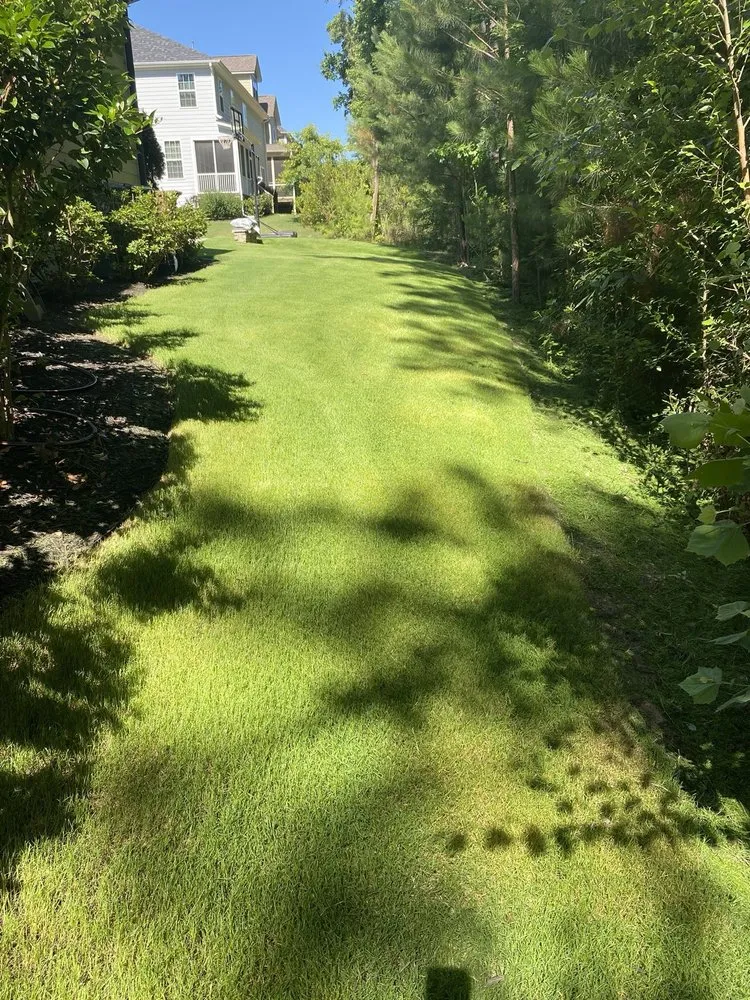 Custom residential landscaping for beautiful yards across Wendell, NC - Green Land Landscaping
