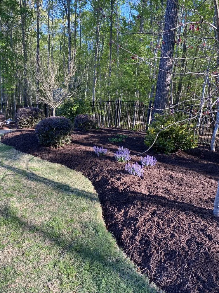 Affordable residential landscaping in Wendell, NC by Green Land Landscaping