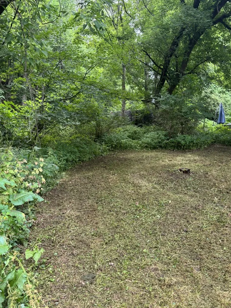 Affordable yard maintenance in Hartland, VT by Green Land Lawn Care Service