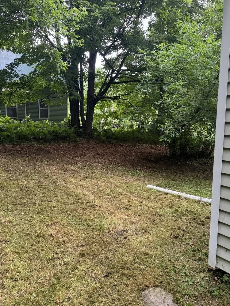 Trusted yard cleanup service in Hartland, VT - Green Land Lawn Care Service