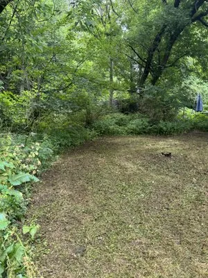 Green Land Lawn Care Service