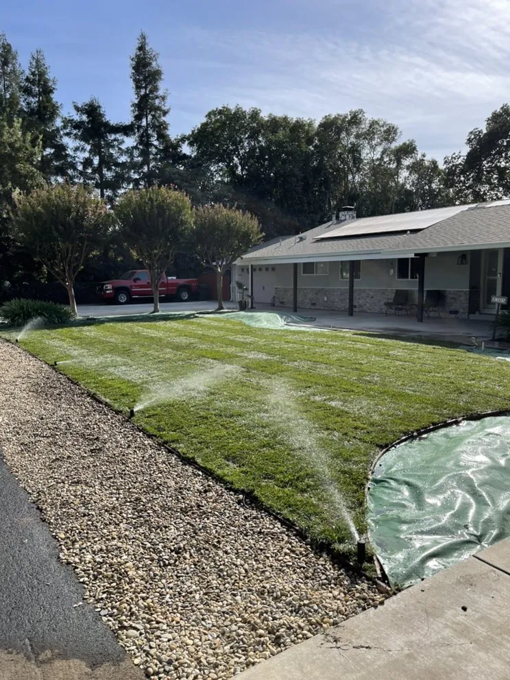 Top-rated yard cleanup service for residential properties in Stockton, CA by Green Land Maintenance and Landscaping