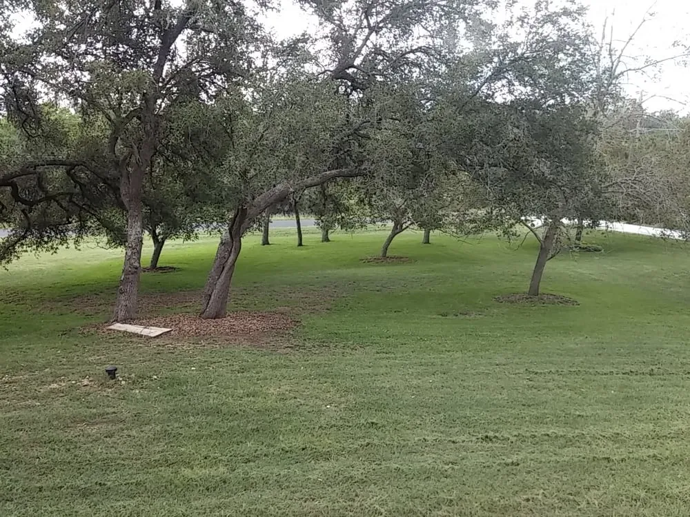 Professional lawn mowing service in Austin, TX by Green Land Management