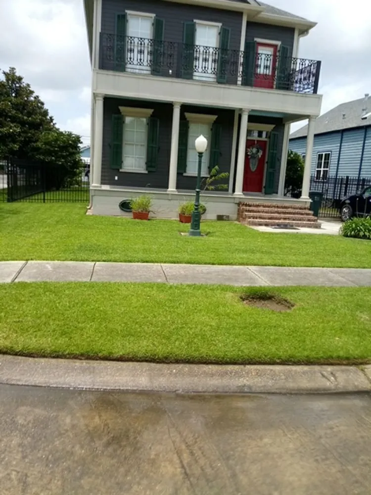 Reliable yard cleanup service for year-round maintenance in Gretna, LA by Green Land Nola