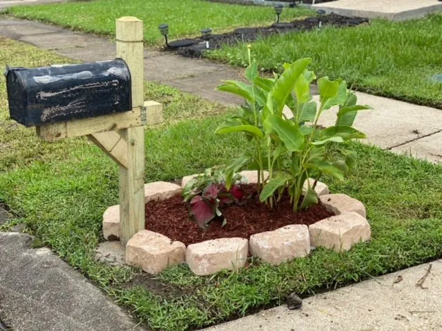 Local outdoor landscaping near you in Gretna, LA by Green Land Nola