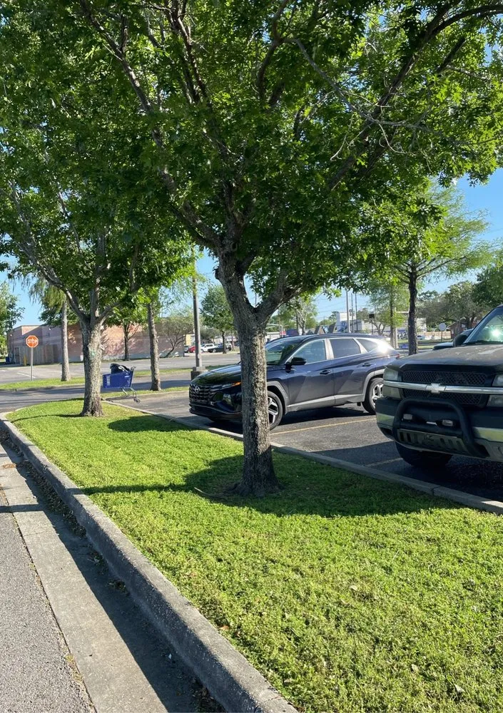 Top-rated landscaping services for beautiful yards in Gretna, LA by Green Land Nola