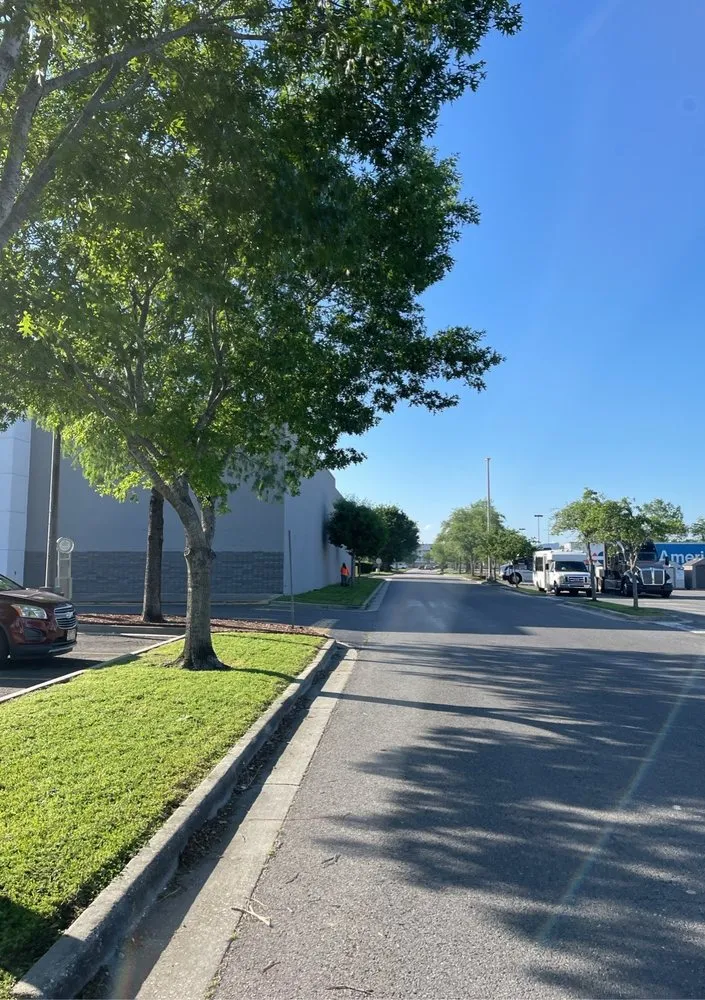 Local landscape installation experts serving Gretna, LA - Green Land Nola