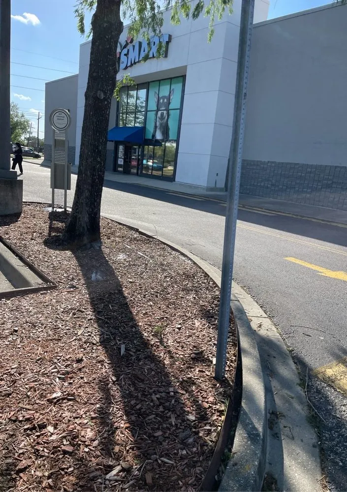 Custom landscaping services for year-round maintenance across Gretna, LA - Green Land Nola