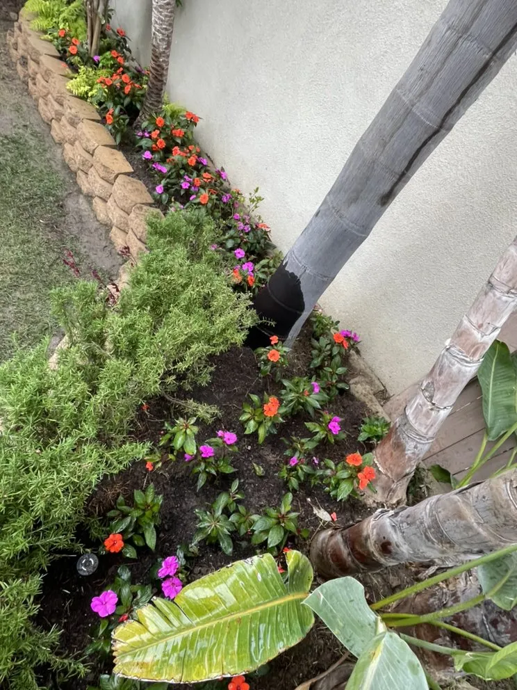 Top-rated yard maintenance in Santa Ana, CA by Green Land