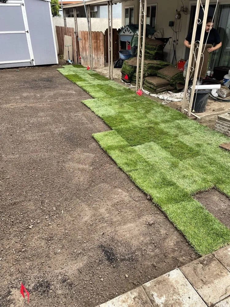 Custom lawn care service for outdoor upgrades in Santa Ana, CA by Green Land