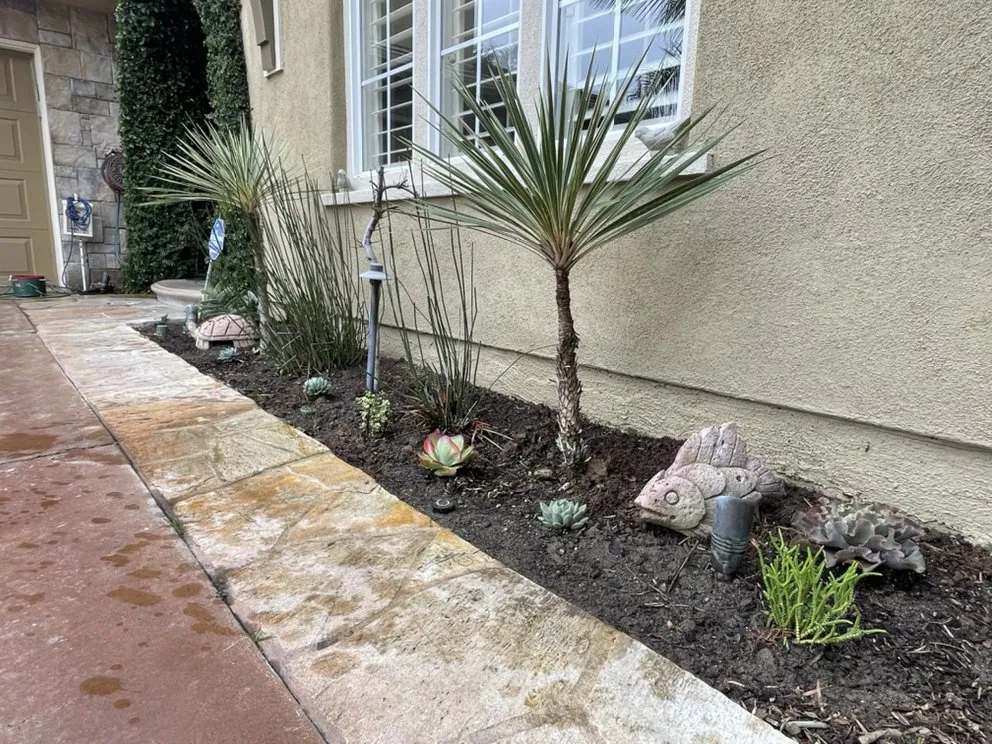 Top-rated lawn mowing service for outdoor upgrades across Santa Ana, CA - Green Land