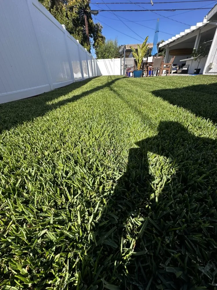 Reliable garden landscaping experts serving Santa Ana, CA - Green Land